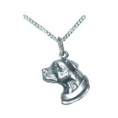 Staffordshire bullterrier kop Collier -merk: COOLDOG™ massief Zilver * inclusief ketting 45cm.