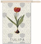 Schilderij - Tulp