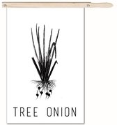Schilderij - Tree Onion