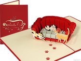 Popcards popupkaarten – Spelende Katten Poezen Dierendag Verjaardag Felicitatie pop-up kaart 3D wenskaart