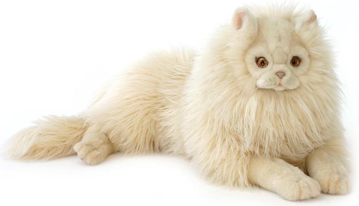 Pluche perzische kat beige 50 cm | bol.com