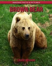 Brown Bear