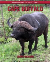 Cape Buffalo