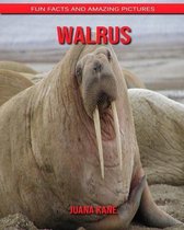 Walrus