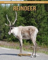 Reindeer