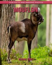 Mouflon