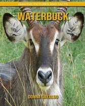 Waterbuck