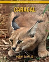 Caracal