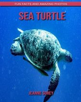 Sea Turtle