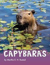 Animals- Capybaras