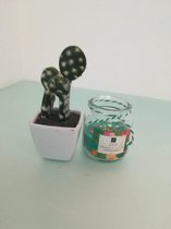 Kunstcactus in een wit bakje - met een blauwe geurkaars