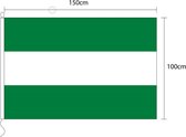 Vlag van Rotterdam 100 x 150cm