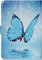 Magic blauw vlinder