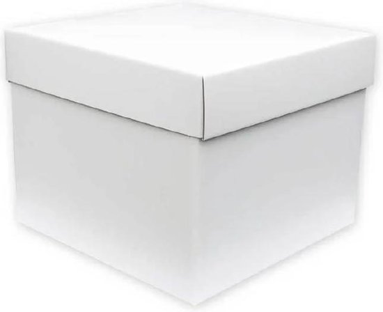 Entertainment geluk Onderdrukking Grote geschenkdoos met deksel | Witte doos | Vierkante doos | 25cm |  Vouwdoos | bol.com
