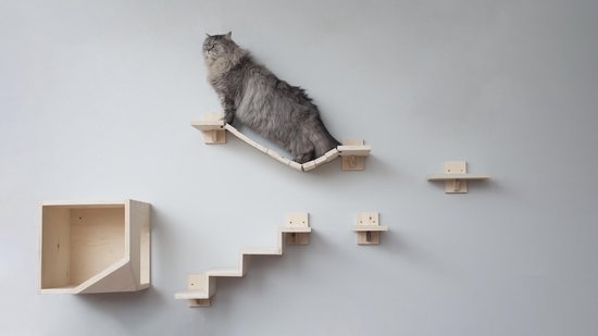 Plankjes voor de kat - kattenplankjes - muurplankjes - klimmuur kat - katten klimmuur - loopplankjes kat - kattenmuur - katten klimwand - huisje rechts