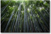 Dibond 50 x 75 cm Landscape Photography.