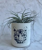 Tijger pot