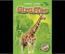 Giraffes - cover