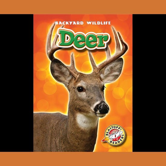Deer - cover