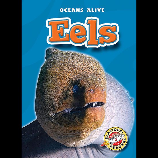 Eels - cover