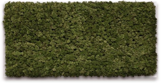 Mosschilderij 120cm x 60cm - rendiermos kleur: Moss Green - lijst: wit hout. Schilderij van echt onderhoudsvrij mos!