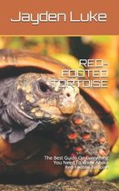 Red-Footed Tortoise