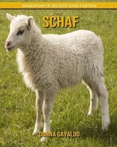 Schaf