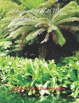 Tarzan and the Ant Men (Annotated)