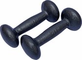 Inmotion dumbbell set 1.36 kg