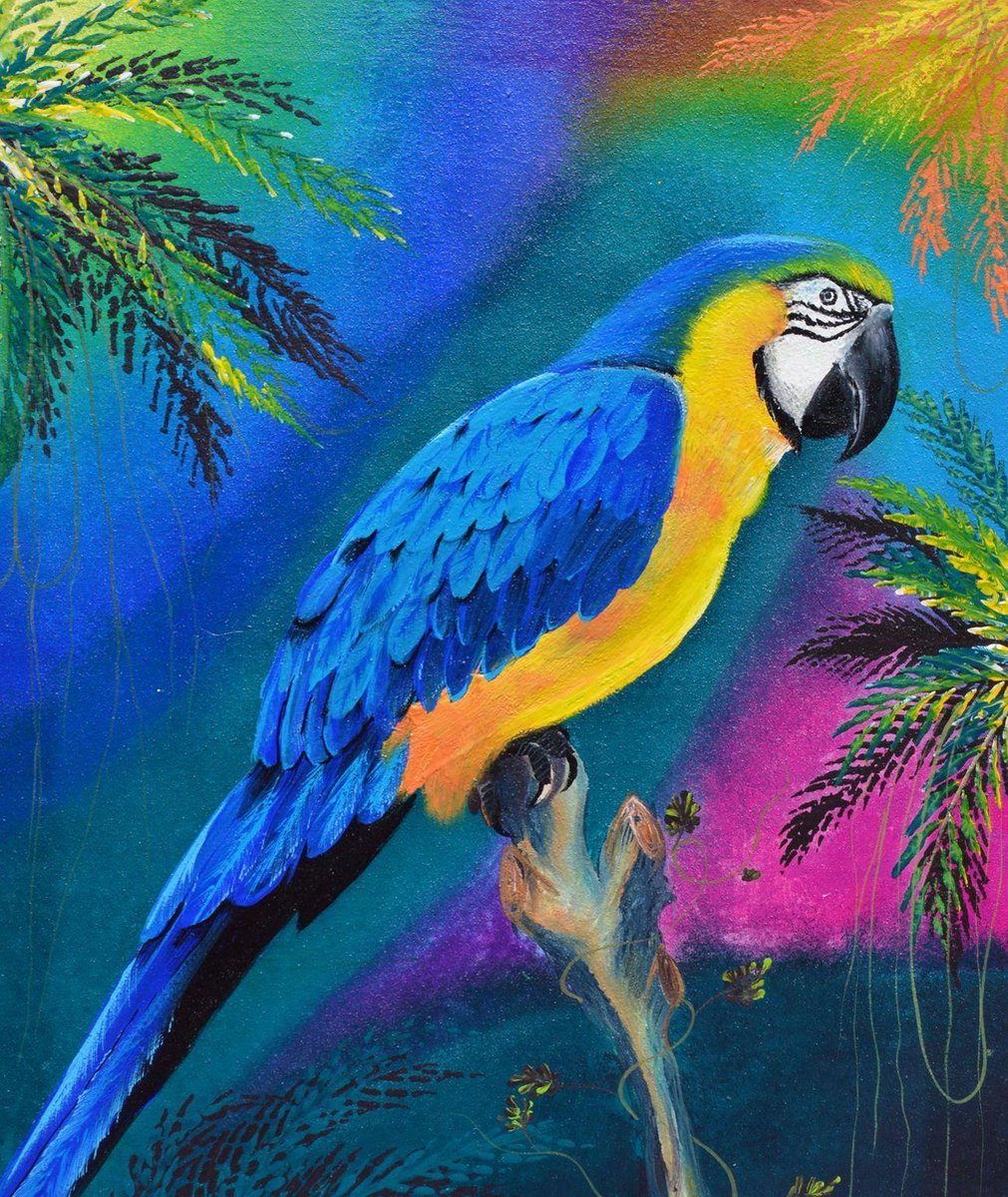 100% Nederlandse Productie! │ Flitzz Diamond Painting │ Ara Kleurrijk │ Formaat 50 x 60 cm │ Diamond Painting Pakket Volwassen │ Volledige bedekking │ Vierkant │ Full │ 76 kleuren