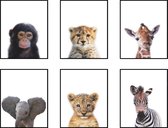 Postercity - Design Canvas Poster Jungle Set Baby Aapje, Zebra, Giraffe, Olifant, Cheeta en Tijger / Kinderkamer / Dieren Poster / Babykamer - Kinderposter / Babyshower Cadeau / Muurdecoratie / 30 x 21cm / A4