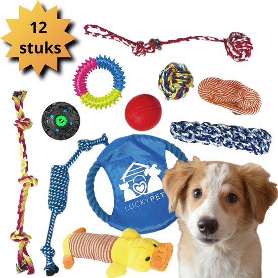 Vriendin verticaal hamer LuckyPets Honden Speelgoed met Bal - 12 Puppy Speeltjes - Hondenspeelgoed  met Touw en... | bol.com