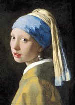 Theedoek meisje met de parel, Vermeer