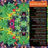 Kaleidoscope (3LP)