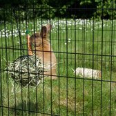 Snackbal voor knaagdieren 8cm