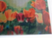 Diamond painting - Rode tulpen - 30x40 cm