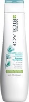 Matrix - BIOLAGE VOLUMEBLOOM shampoo 250 ml