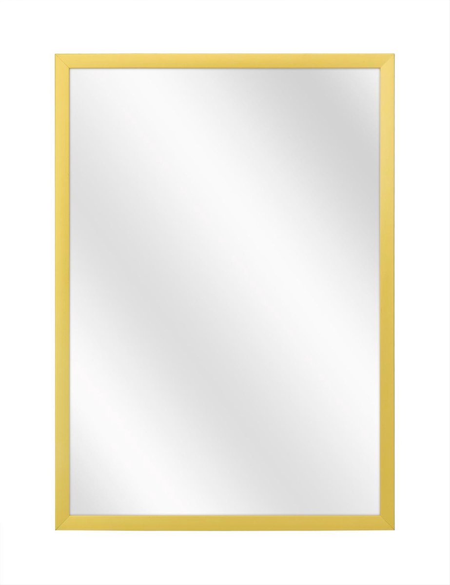 Spiegel met Luxe Aluminium Lijst - Mat Goud - 40x60 cm