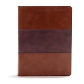 CSB Apologetics Study Bible, Mahogany Leathertouch