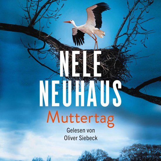 Muttertag (Ein Bodenstein-Kirchhoff-Krimi 9) - cover