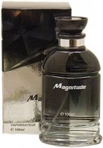 Magnitude