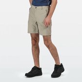 Regatta Leesville Wandelbroek Kort Heren Beige 58