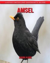 Amsel