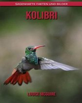 Kolibri