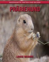 Prariehund