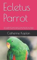 Ecletus Parrot