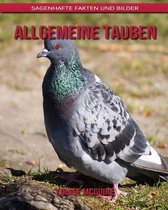 Allgemeine Tauben