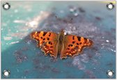 Tuinposter –Vlindertje op Straat– 40x30 Foto op Tuinposter (wanddecoratie voor buiten en binnen)
