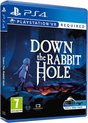 Perp Down the Rabbit Hole, PS4 Standard Anglais PlayStation 4