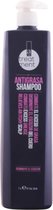 Degreasing Shampoo Treatment Alexandre Cosmetics (1000 Ml)